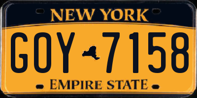 NY license plate GOY7158