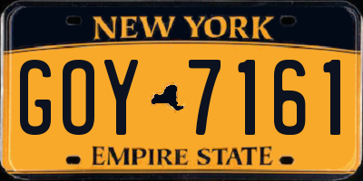 NY license plate GOY7161