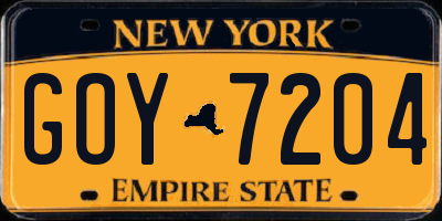 NY license plate GOY7204