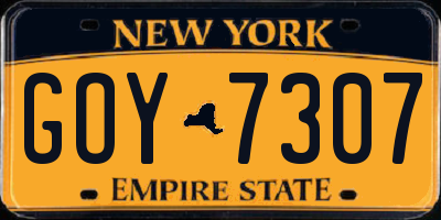 NY license plate GOY7307