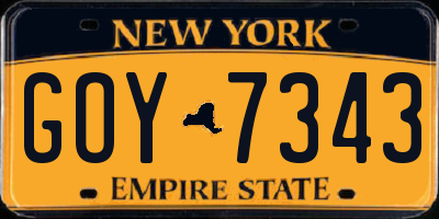 NY license plate GOY7343