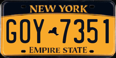 NY license plate GOY7351