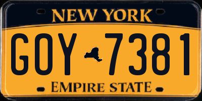 NY license plate GOY7381