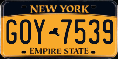 NY license plate GOY7539