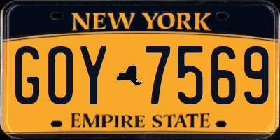 NY license plate GOY7569