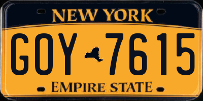 NY license plate GOY7615
