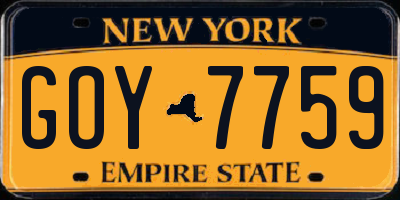 NY license plate GOY7759