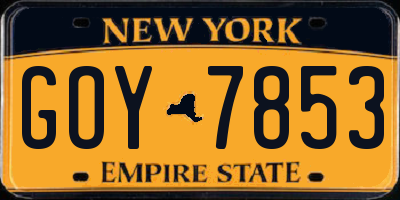 NY license plate GOY7853