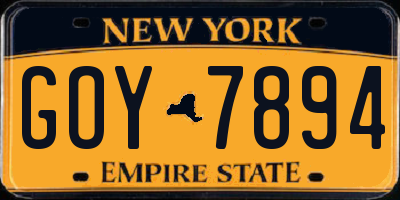 NY license plate GOY7894