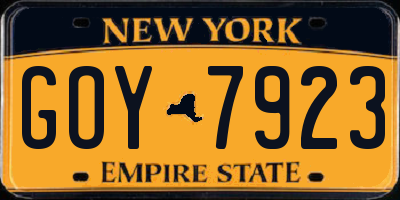 NY license plate GOY7923