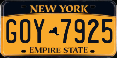 NY license plate GOY7925