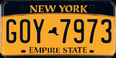 NY license plate GOY7973
