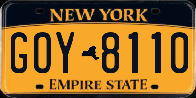 NY license plate GOY8110