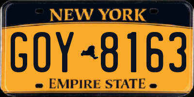 NY license plate GOY8163
