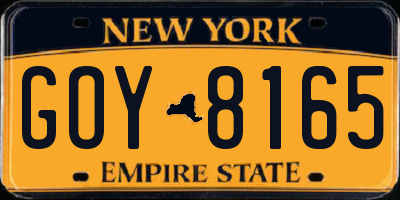 NY license plate GOY8165