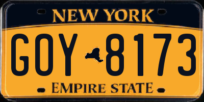 NY license plate GOY8173