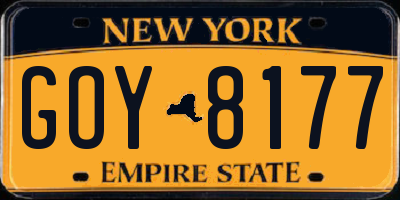 NY license plate GOY8177