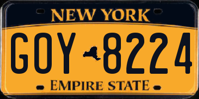NY license plate GOY8224