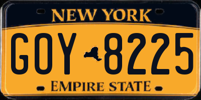 NY license plate GOY8225