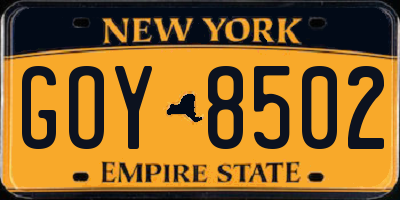 NY license plate GOY8502