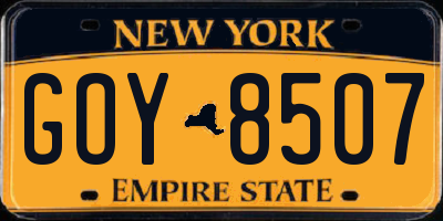 NY license plate GOY8507
