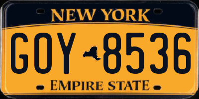 NY license plate GOY8536