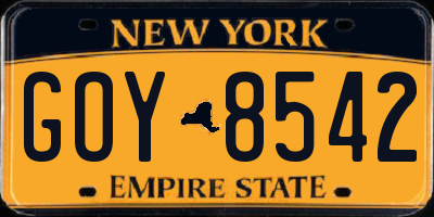 NY license plate GOY8542