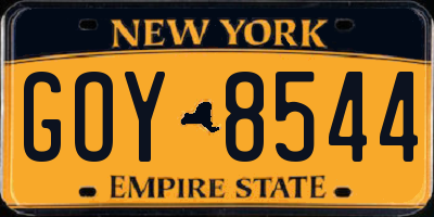NY license plate GOY8544