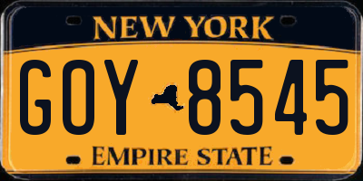 NY license plate GOY8545