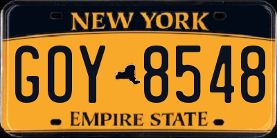 NY license plate GOY8548