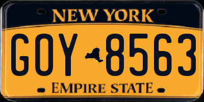 NY license plate GOY8563
