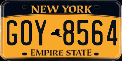 NY license plate GOY8564
