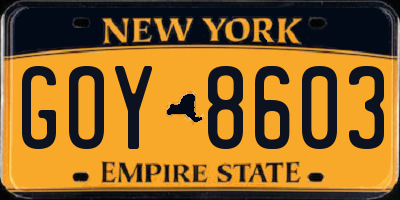 NY license plate GOY8603
