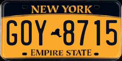 NY license plate GOY8715