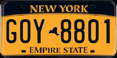 NY license plate GOY8801