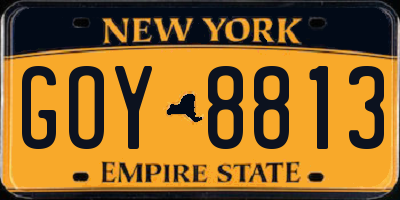 NY license plate GOY8813