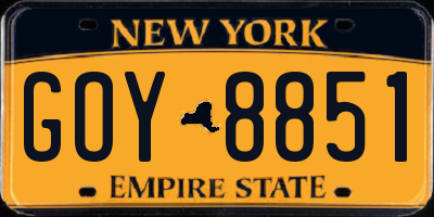 NY license plate GOY8851