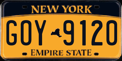 NY license plate GOY9120