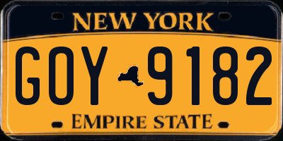 NY license plate GOY9182