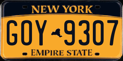 NY license plate GOY9307