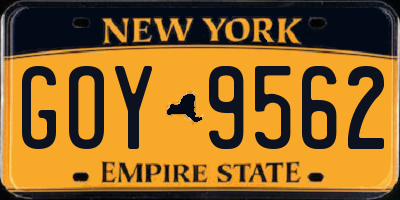 NY license plate GOY9562