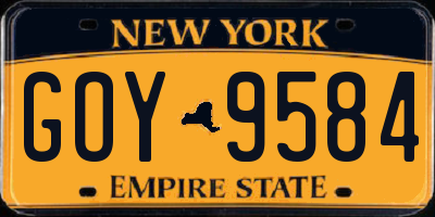 NY license plate GOY9584