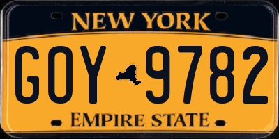 NY license plate GOY9782