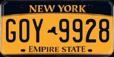 NY license plate GOY9928