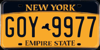 NY license plate GOY9977