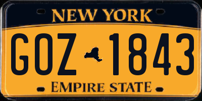 NY license plate GOZ1843