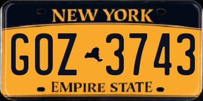NY license plate GOZ3743