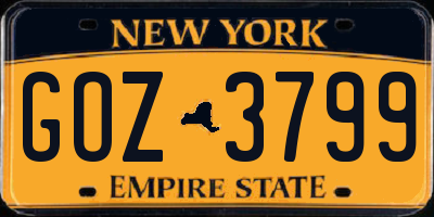 NY license plate GOZ3799