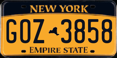 NY license plate GOZ3858