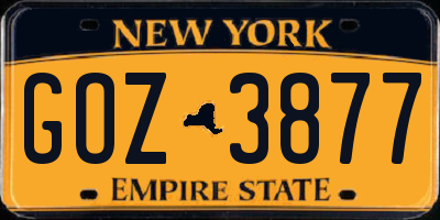 NY license plate GOZ3877